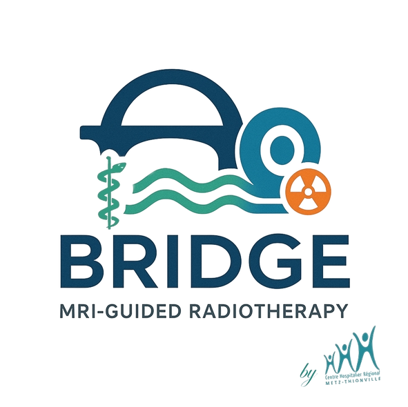 Logo BRIDGE